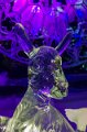 IJsbeelden Zwolle 2019 (29)